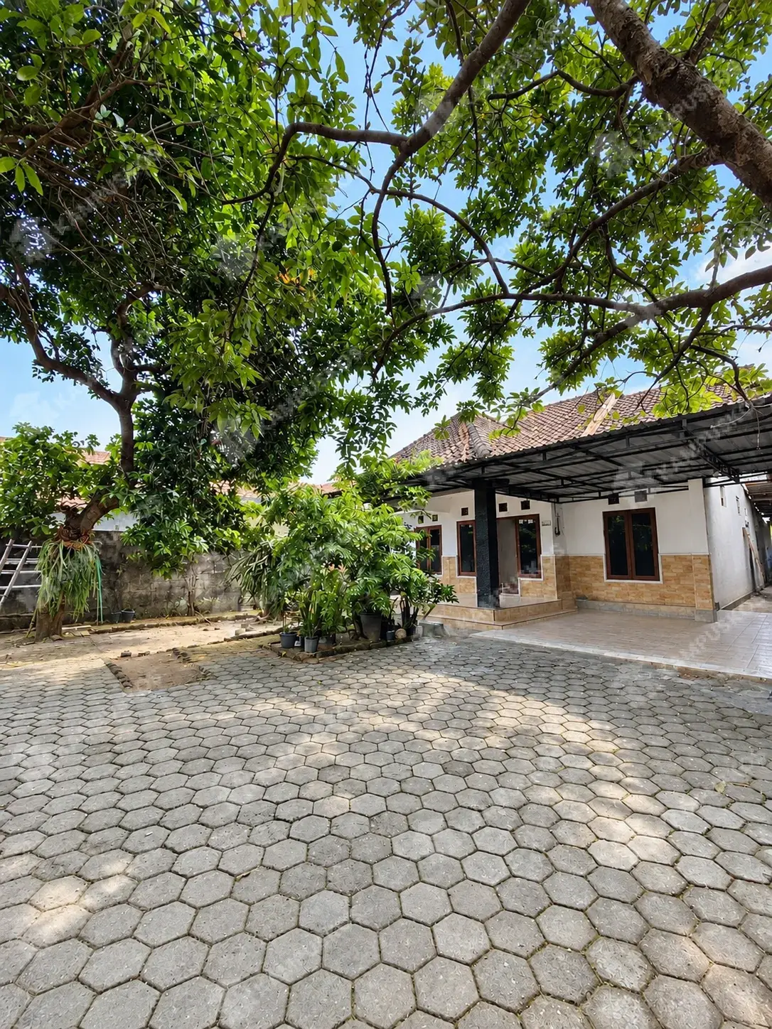 Galeri Foto